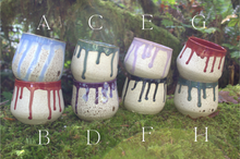 Load image into Gallery viewer, Trillium Tumbler
