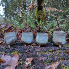 Load image into Gallery viewer, Fae Tumbler Set - PNW Twilight
